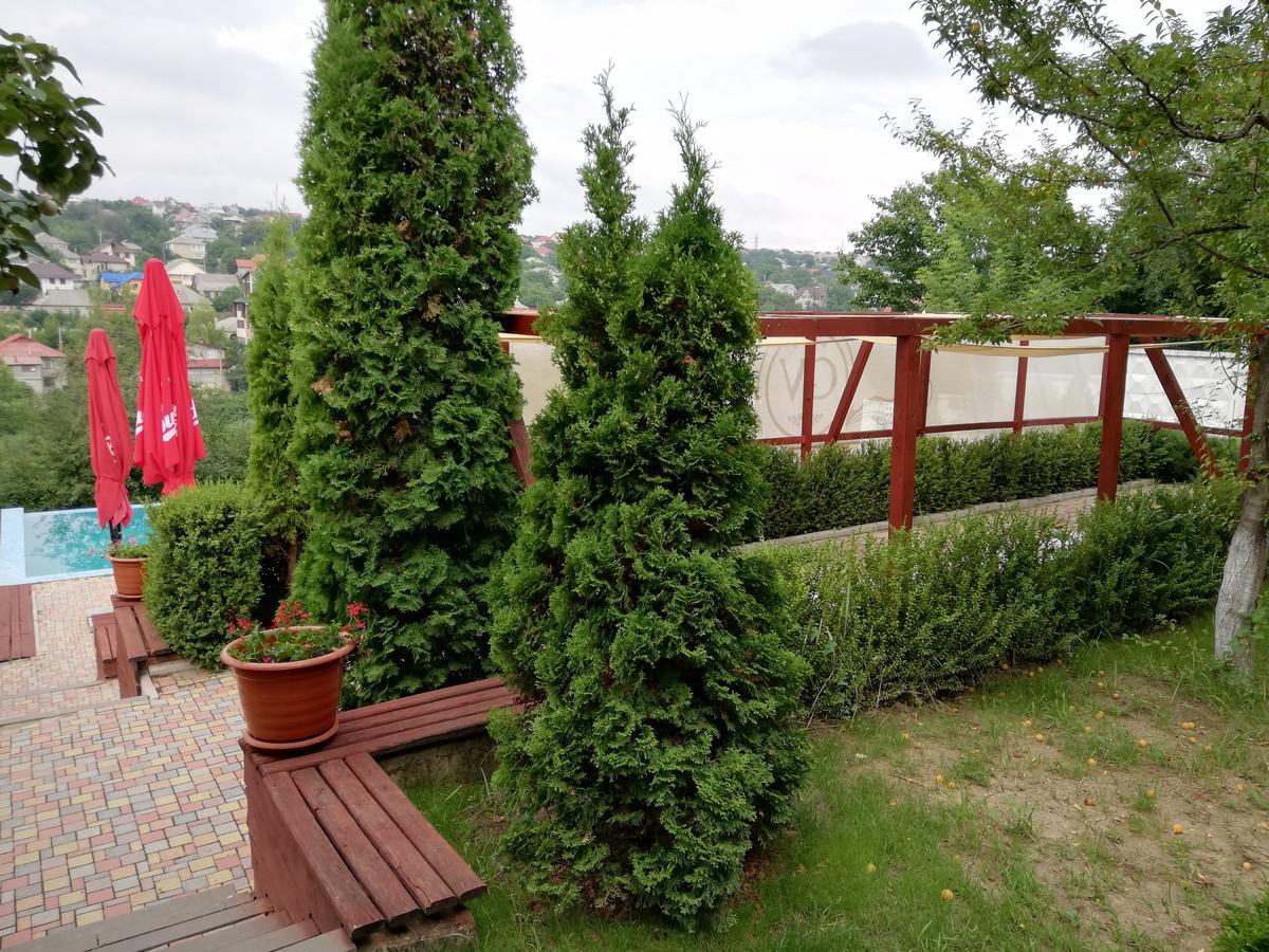 Grace Villa Codru Dış mekan fotoğraf