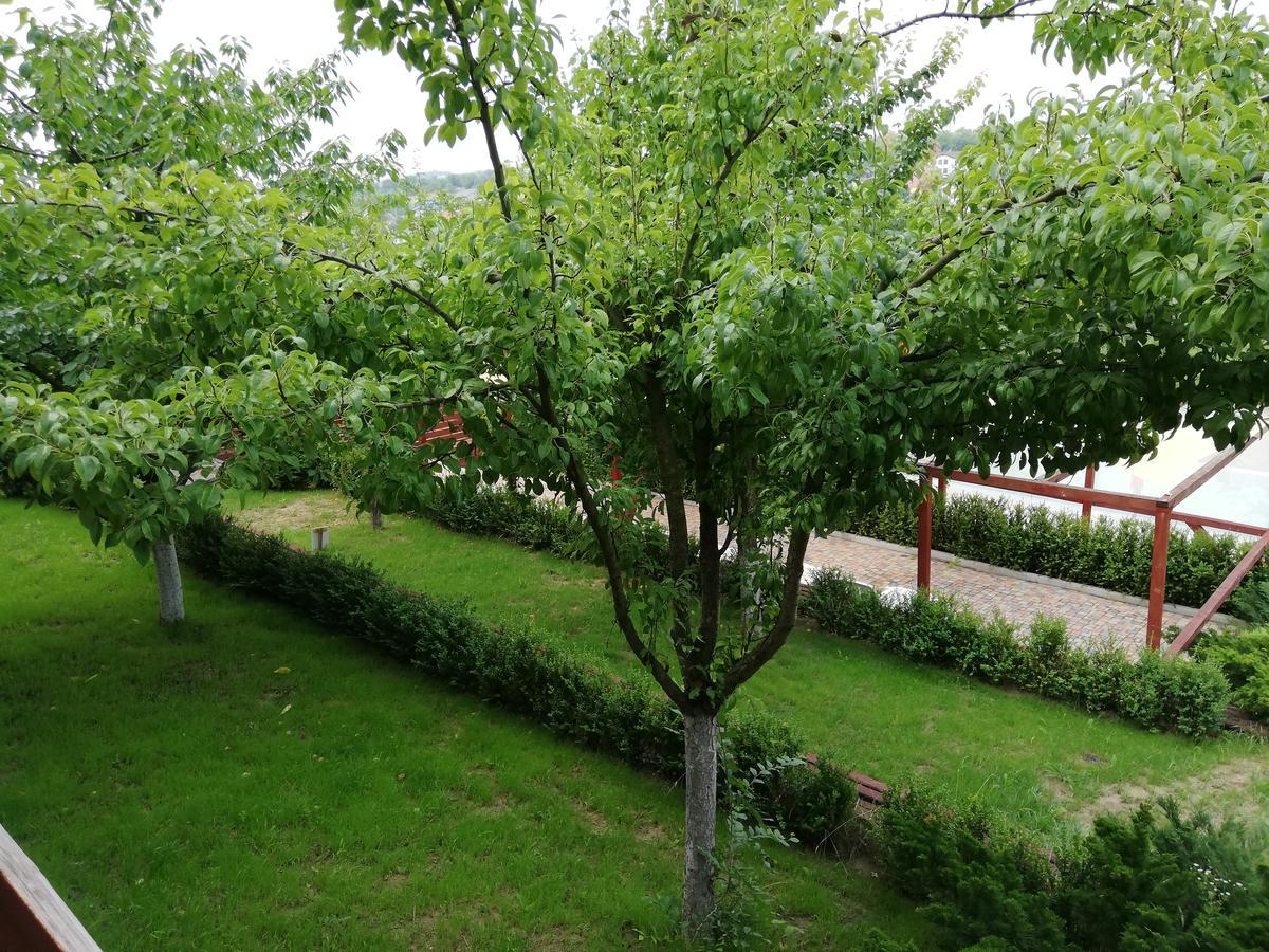 Grace Villa Codru Dış mekan fotoğraf