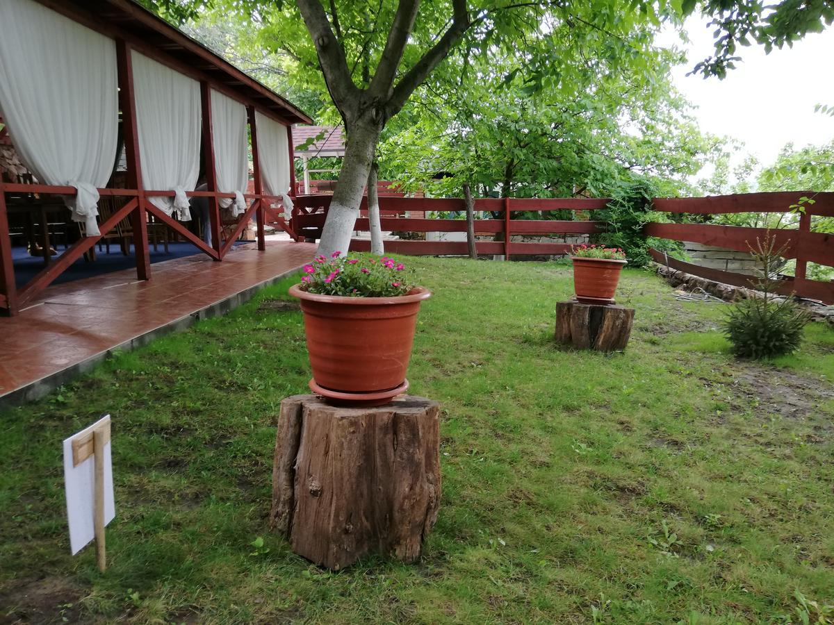 Grace Villa Codru Dış mekan fotoğraf